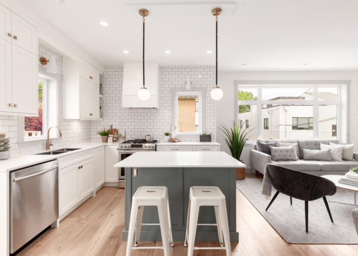 309-West-11th-Avenue-new island-12