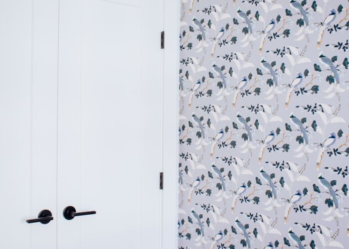 Square Foot Construction Residential Reno East 11 North Van cupboards